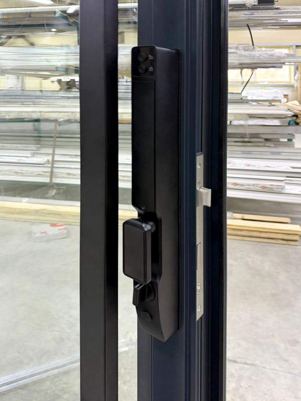 Алюминиевые светопрозрачные двери - биометрический электронный замок