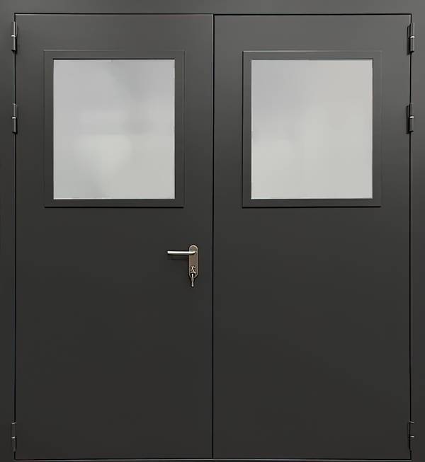 Двупольная дверь EIWS 60 (12)