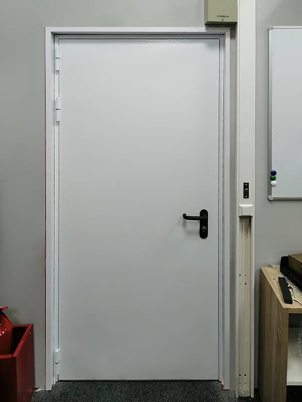 Огнестойкая дверь (магазин в ТЦ «Капитолий»)